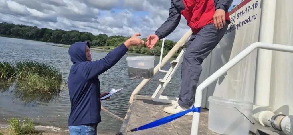 0614cf8a-3d86-42c3-979a-78c1db7721d8-1024x474.jpg