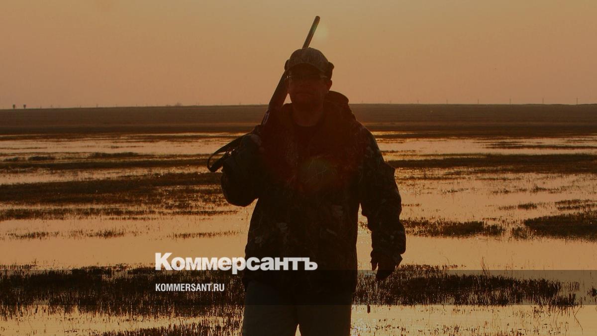www.kommersant.ru