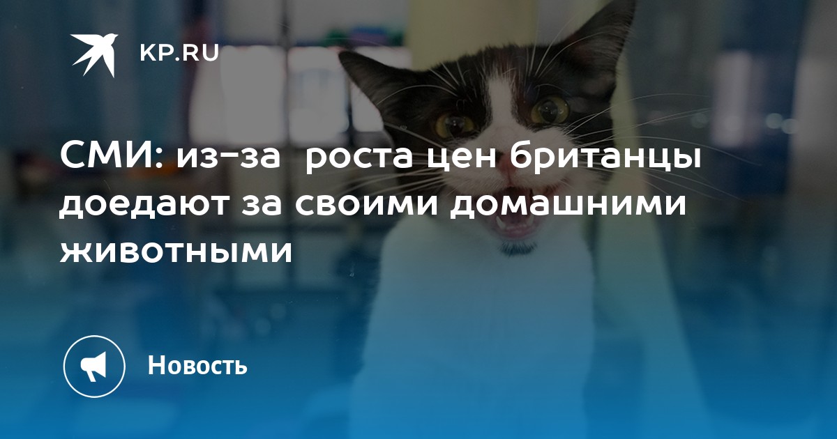 www.kp.ru