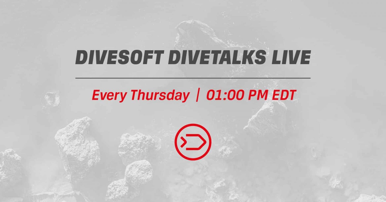 how-we-are-helping:-divesoft how-we-are-helping:-divesoft