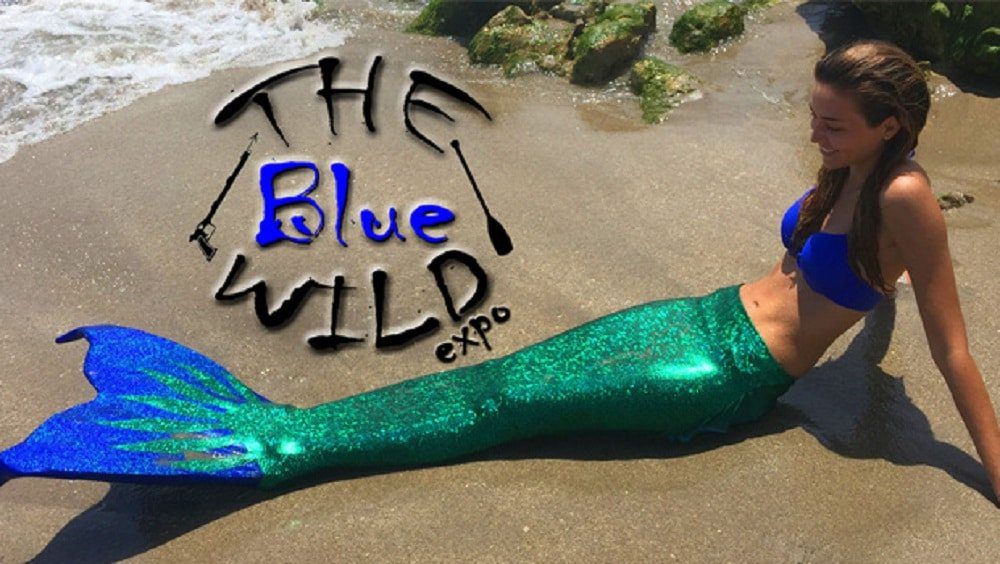 blue-wild-2020-show-canceled blue-wild-2020-show-canceled