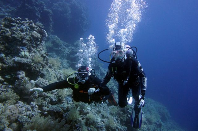 <b>Дайвинг</b>-на-Черном-море <b>Дайвинг</b>-на-Черном-море