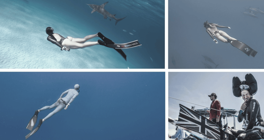 alchemy-fins-are-now-customizable alchemy-fins-are-now-customizable