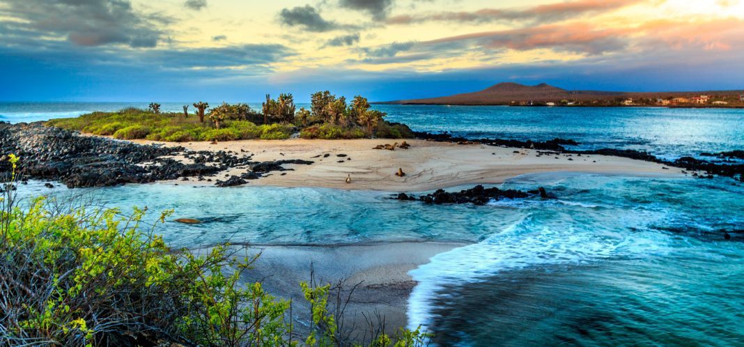 win-a-free-galapagos-liveaboard-trip-with-master-liveaboards win-a-free-galapagos-liveaboard-trip-with-master-liveaboards