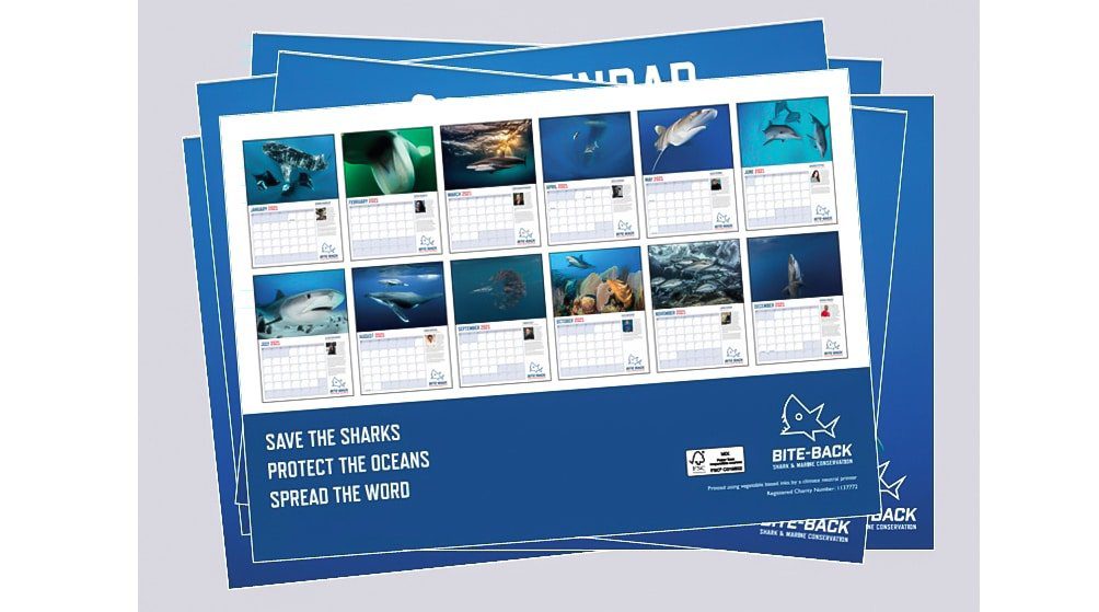 bite-back-2021-calendar-now-available-to-buy bite-back-2021-calendar-now-available-to-buy
