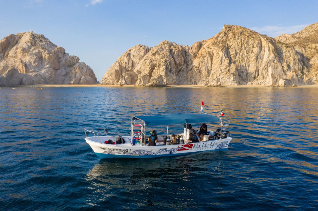 dive-ninja-announces-a-new-idc-center-in-cabo-san-lucas dive-ninja-announces-a-new-idc-center-in-cabo-san-lucas
