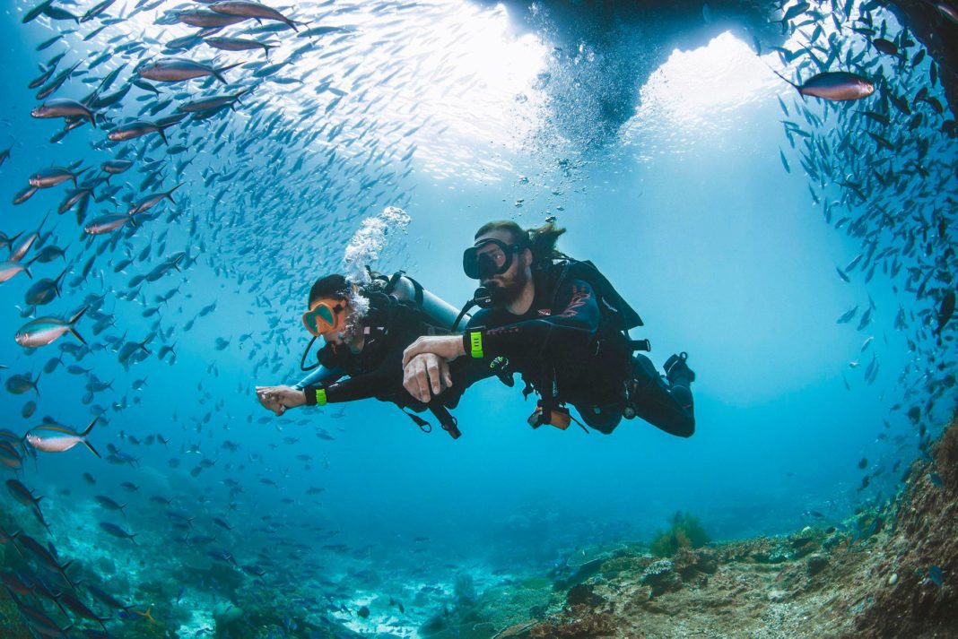 ssi-expands-its-diver-recognition-card-program ssi-expands-its-diver-recognition-card-program