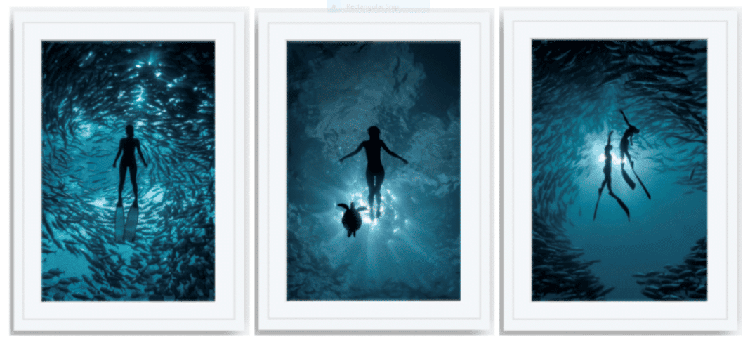 martin-zapanta-launches-freediver-photo-collection martin-zapanta-launches-freediver-photo-collection