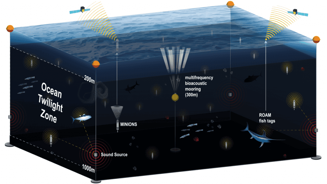 scientists-are-developing-a-new-observation-network-for-the-ocean’s-‘twilight-zone’ scientists-are-developing-a-new-observation-network-for-the-ocean’s-‘twilight-zone’