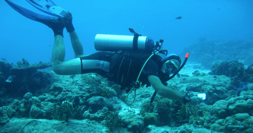 check-out-the-green-fins-diver-e-course check-out-the-green-fins-diver-e-course
