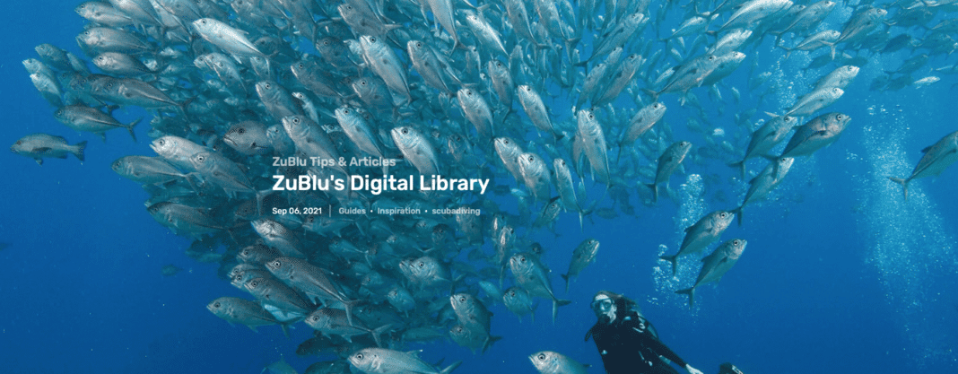 zublu-introduces-its-new-library-of-free-scuba-diving-guides zublu-introduces-its-new-library-of-free-scuba-diving-guides