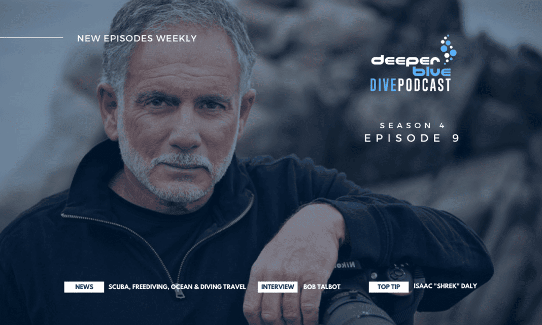 podcast:-bob-talbot-on-a-moment-when-dolphins-fully-accepted-him podcast:-bob-talbot-on-a-moment-when-dolphins-fully-accepted-him