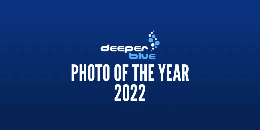 deeperblue-photo-of-the-year-2022 deeperblue-photo-of-the-year-2022