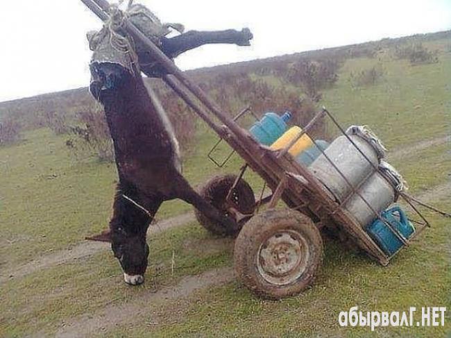 1367860027_1367733268_fails_04