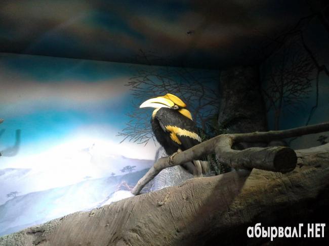 1391360088_yekzotarium-v-rio-2