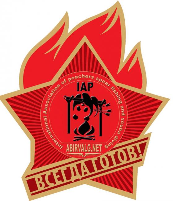 1391524984_pionyer-kopiya