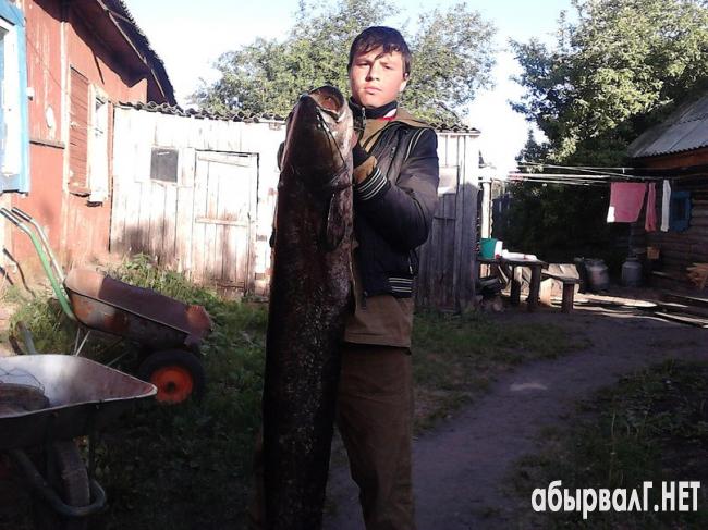 1402840685_getimage