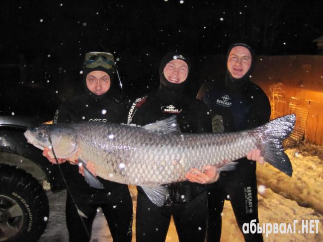 1413890314_amur