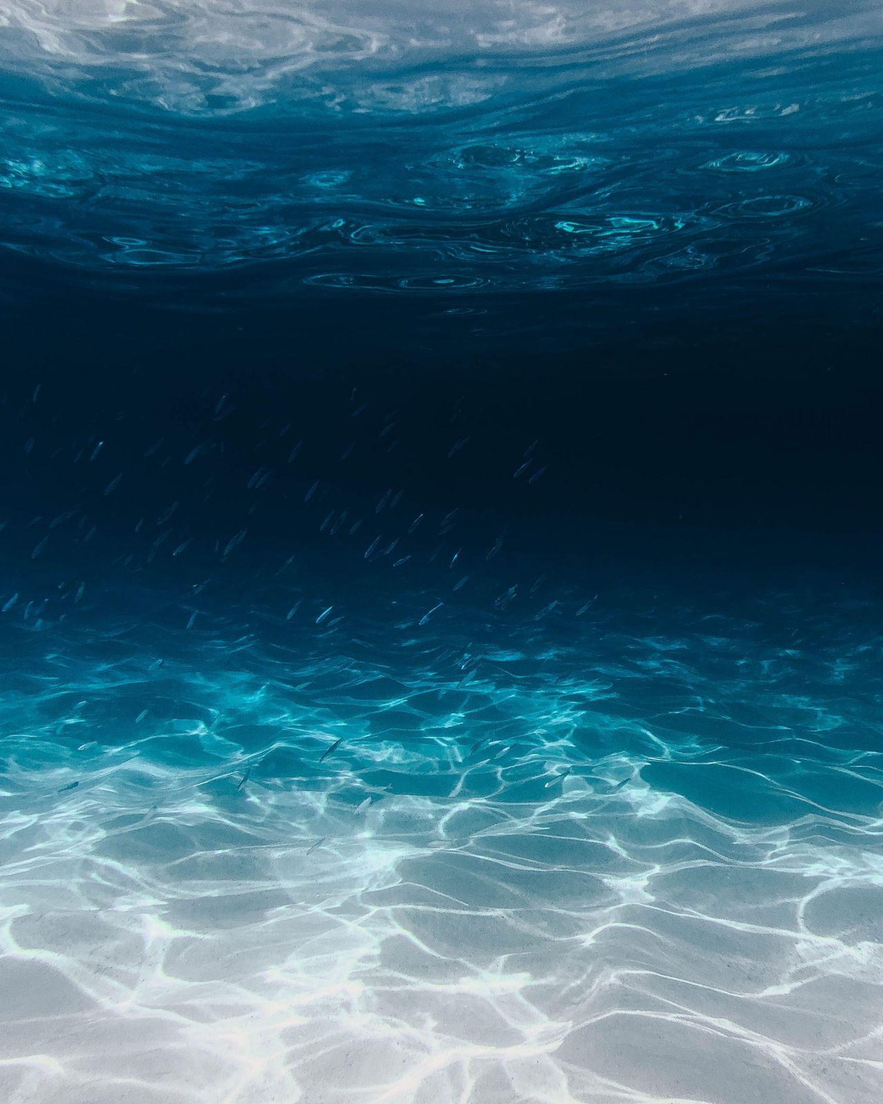 kupalniki-ocean-positive-ot-fourth-element