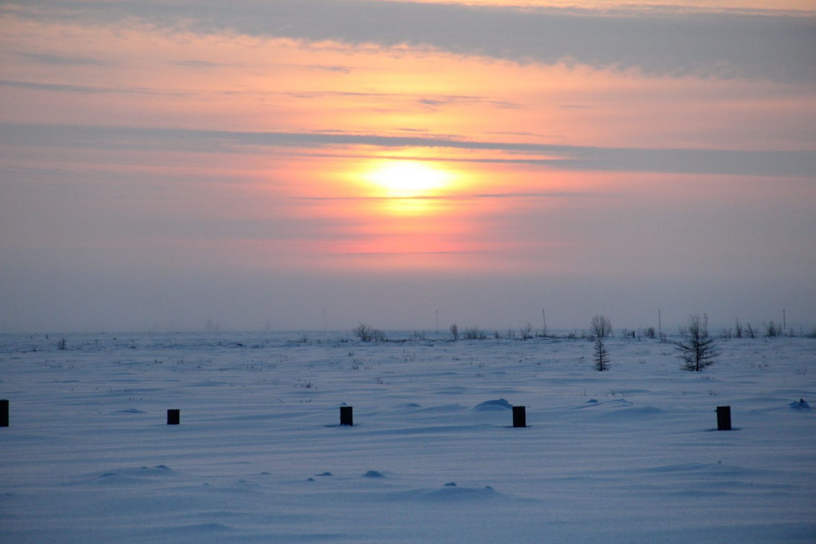 novyj-god-pod-otkrytym-nebom-2012