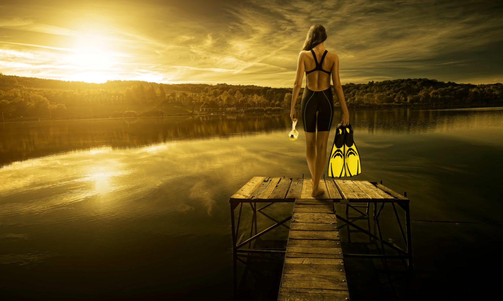 the-day-the-diving-stood-still the-day-the-diving-stood-still
