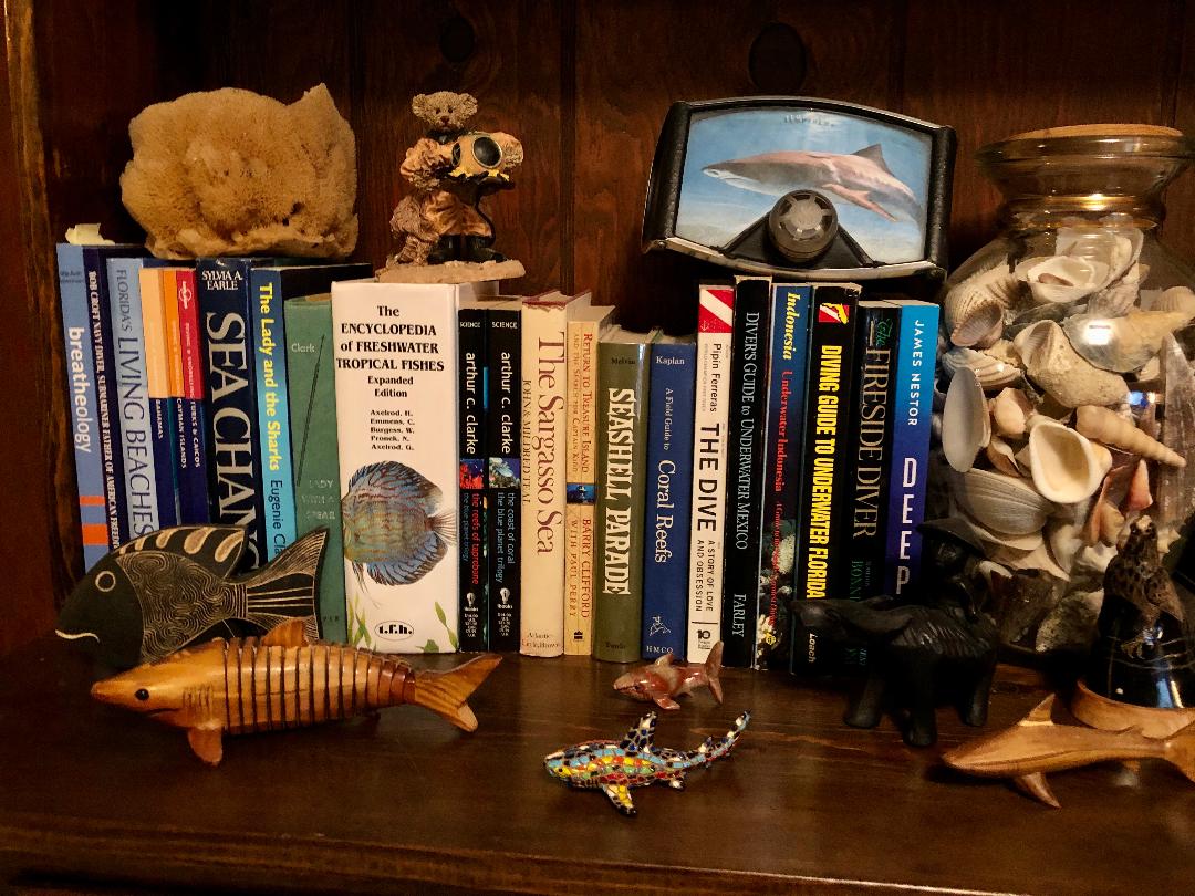 5-books-to-dive-in-to-while-you-are-out-of-the-water 5-books-to-dive-in-to-while-you-are-out-of-the-water