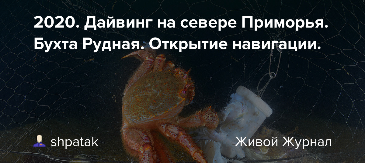 2020-<b>Дайвинг</b>-на-севере-Приморья-Бухта-Рудная-Открытие-навигации. 2020-<b>Дайвинг</b>-на-севере-Приморья-Бухта-Рудная-Открытие-навигации.