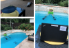 Dive Pirates Launch Virtual Challenge to Celebrate Diving While Landlocked dive-pirates-launch-virtual-challenge-to-celebrate-diving-while-landlocked