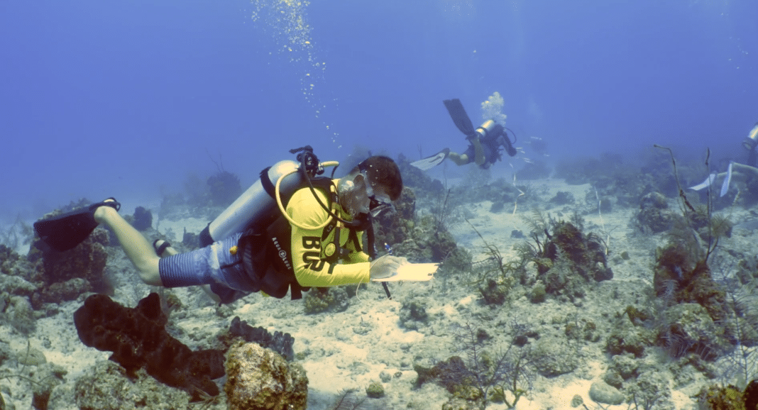 turks-&-caicos-reef-fund-and-aggressor-adventures-team-up turks-&-caicos-reef-fund-and-aggressor-adventures-team-up