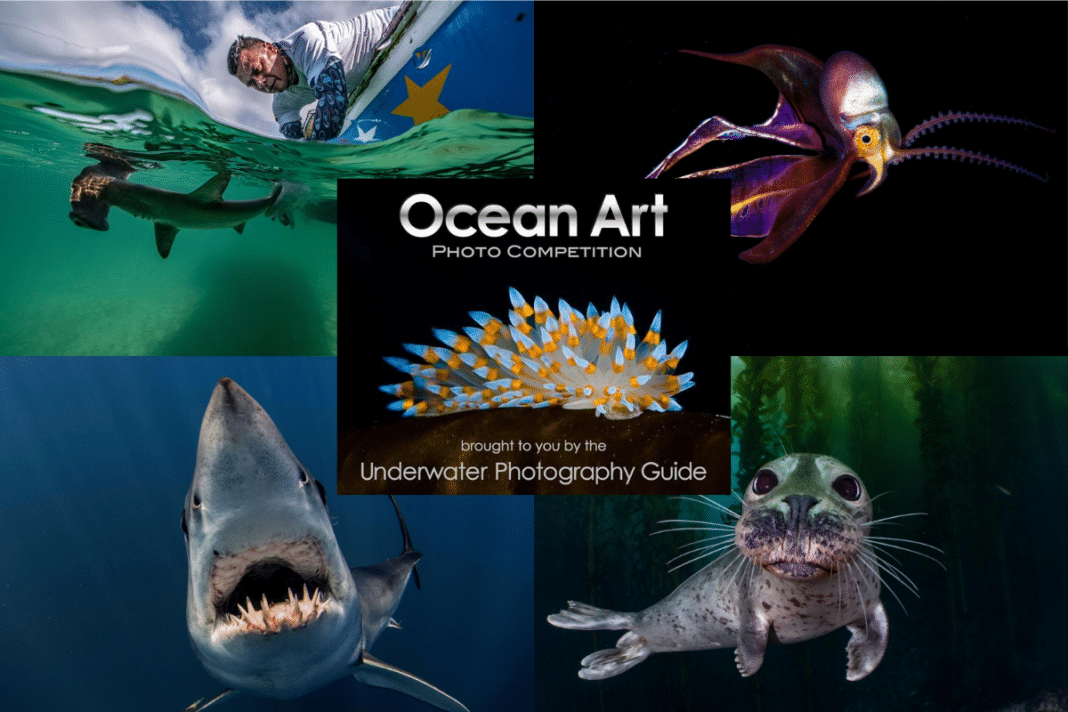 entries-now-open-for-the-ocean-art-photo-contest