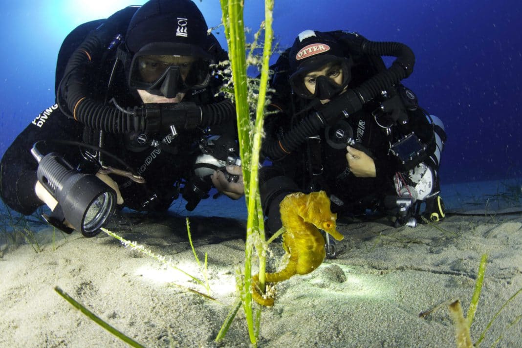 diverse-travel-adds-croatia-to-its-program diverse-travel-adds-croatia-to-its-program