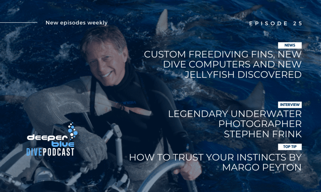 podcast:-legendary-underwater-photographer-stephen-frink-on-how-dolphins-may-have-saved-his-life,-and-new-jellyfish-discovered! podcast:-legendary-underwater-photographer-stephen-frink-on-how-dolphins-may-have-saved-his-life,-and-new-jellyfish-discovered!