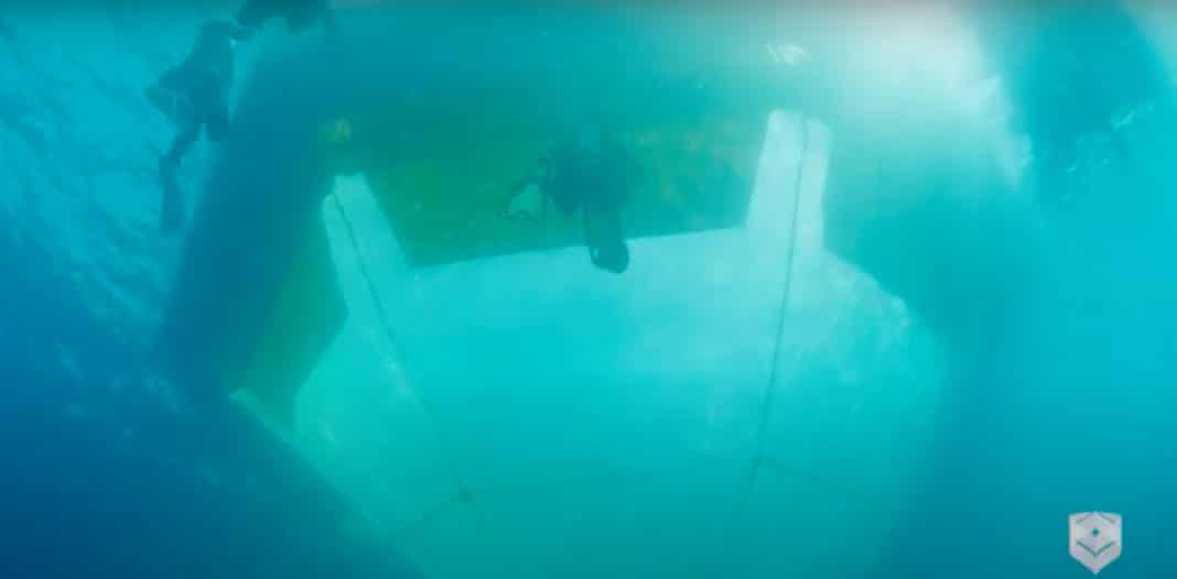 ‘coral-ivf’-helping-save-great-barrier-reef ‘coral-ivf’-helping-save-great-barrier-reef