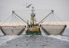 Proposals Are Sought To Reduce Derelict Fishing Gear proposals-are-sought-to-reduce-derelict-fishing-gear