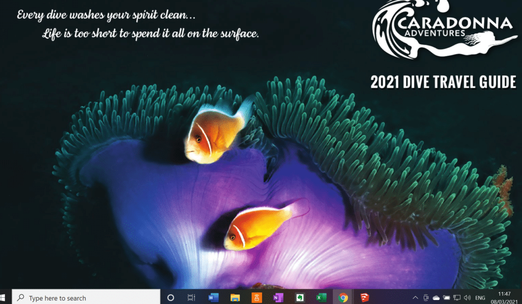 cardonna-adventures’-2021-digital-dive-guide-now-available cardonna-adventures’-2021-digital-dive-guide-now-available