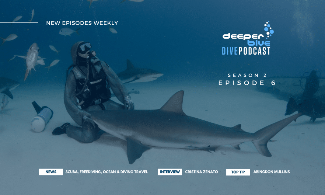 podcast:-cristina-zenato-the-“mother-of-sharks”-on-the-trust-she-places-in-her-children podcast:-cristina-zenato-the-“mother-of-sharks”-on-the-trust-she-places-in-her-children