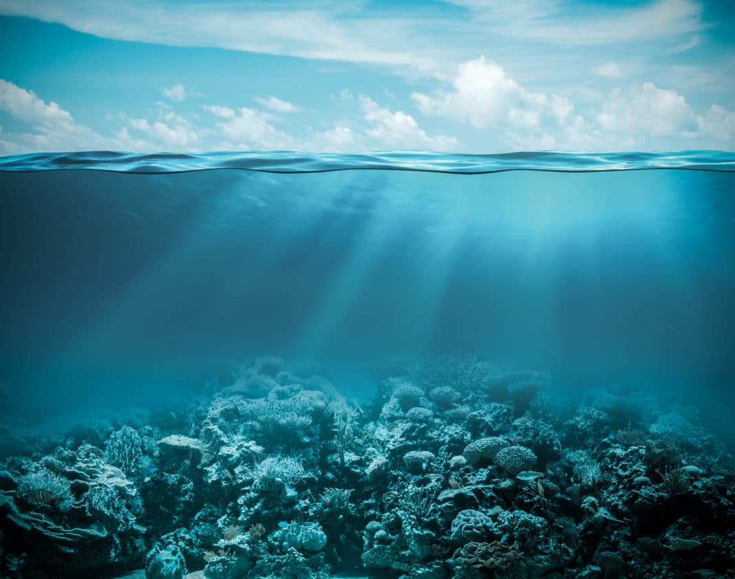 us.-government-releases-‘america-the-beautiful’-report-outlining-conservation-goals us.-government-releases-‘america-the-beautiful’-report-outlining-conservation-goals