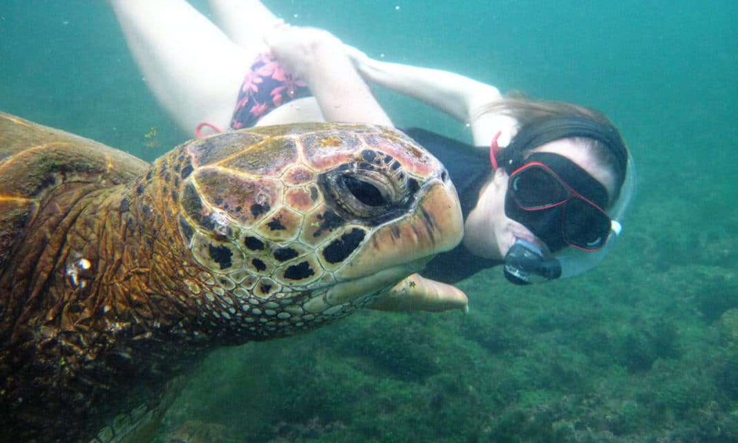 check-out-this-upcoming-luxury-tour-of-the-galapagos-islands check-out-this-upcoming-luxury-tour-of-the-galapagos-islands