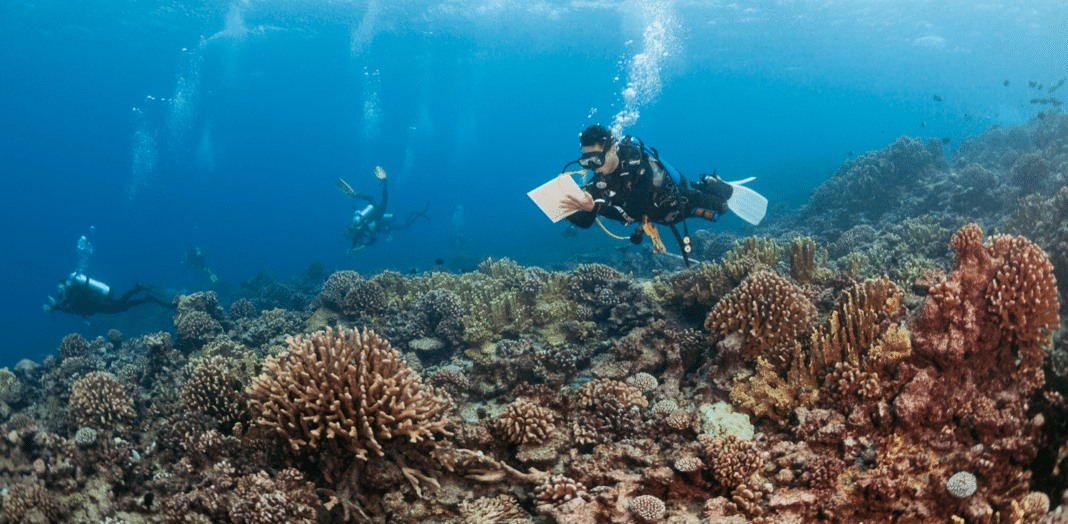 new-coral-reef-health-modelling-research-released new-coral-reef-health-modelling-research-released