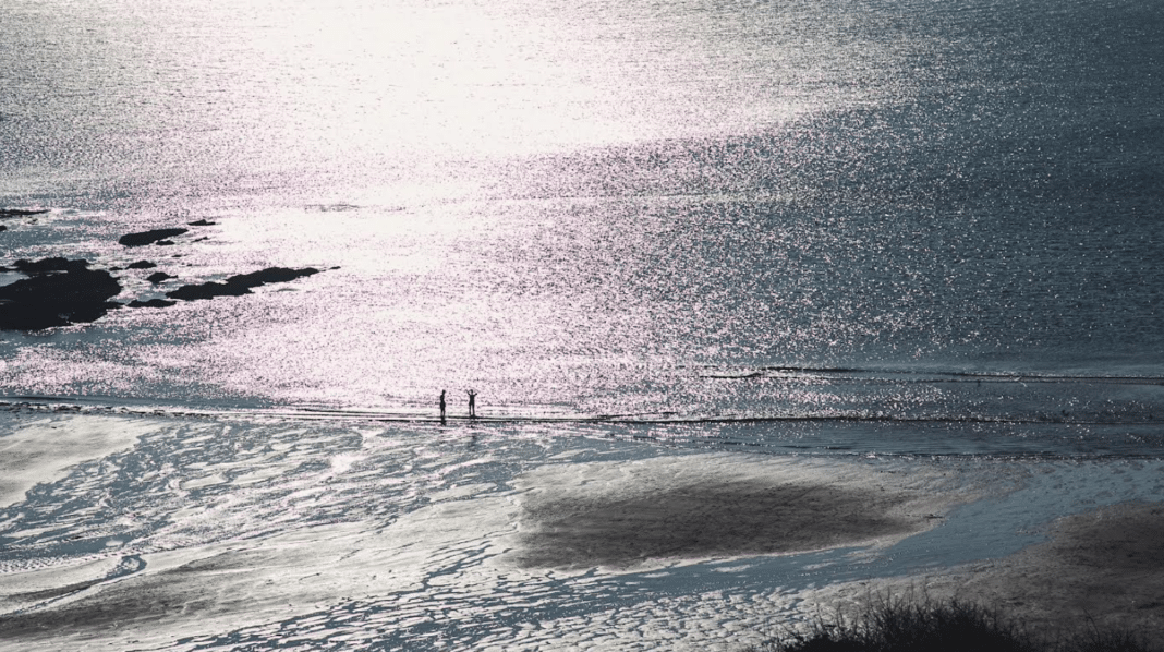 ocean-conservation-trust-launches-#thinkocean-challenge ocean-conservation-trust-launches-#thinkocean-challenge