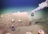 Scientists Study Underwater DDT Dumping Sites, Find New Methane Seep, Whale Fall scientists-study-underwater-ddt-dumping-sites,-find-new-methane-seep,-whale-fall