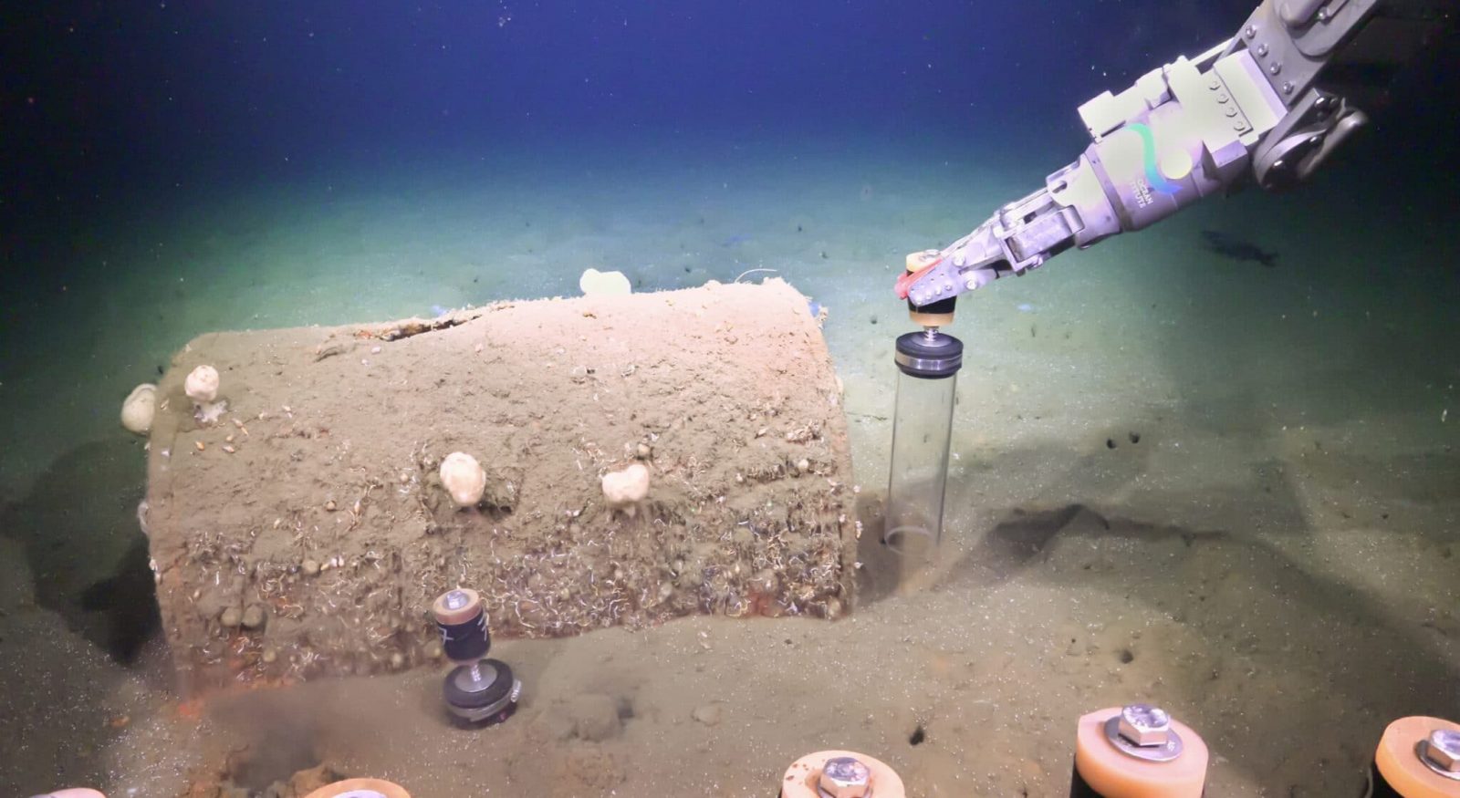 scientists-study-underwater-ddt-dumping-sites,-find-new-methane-seep,-whale-fall scientists-study-underwater-ddt-dumping-sites,-find-new-methane-seep,-whale-fall