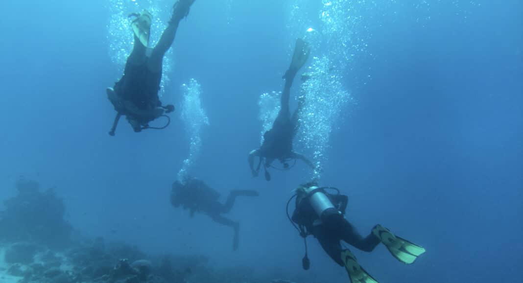 aqaba-dive-operator-uses-the-pandemic-to-cleanup aqaba-dive-operator-uses-the-pandemic-to-cleanup
