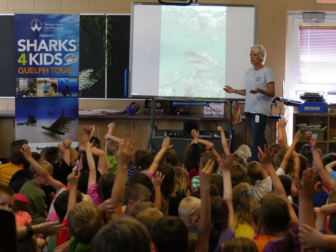 sharks4kids-targets-future-generations-through-education sharks4kids-targets-future-generations-through-education
