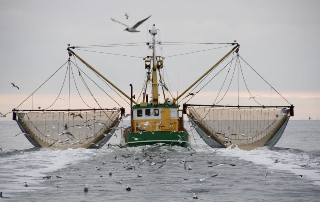 new-un-treaty-to-protect-biodiversity-in-the-high-seas-being-negotiated new-un-treaty-to-protect-biodiversity-in-the-high-seas-being-negotiated