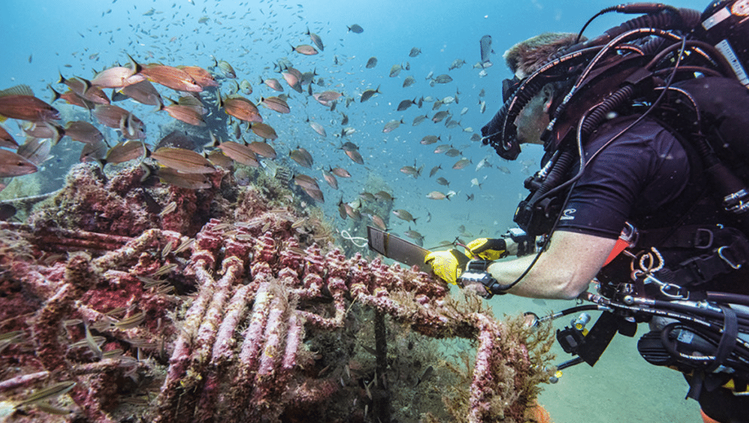 check-out-this-webinar-to-learn-more-about-how-archaeologists-are-working-to-preserve-hurricane-damaged-shipwrecks check-out-this-webinar-to-learn-more-about-how-archaeologists-are-working-to-preserve-hurricane-damaged-shipwrecks