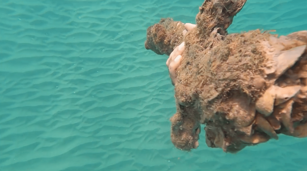 diver-finds-900-year-old-crusader-sword-off-the-israeli-coast diver-finds-900-year-old-crusader-sword-off-the-israeli-coast