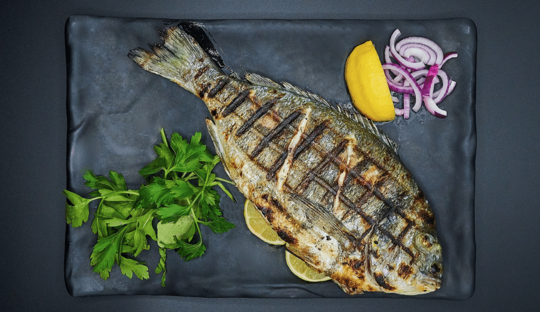chefs-call-on-congress-to-end-illegal-fishing,-seafood-fraud,-and-human-rights-abuses chefs-call-on-congress-to-end-illegal-fishing,-seafood-fraud,-and-human-rights-abuses