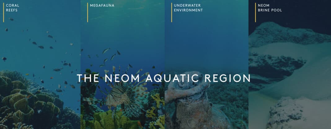 oceanx,-neom-project-showcase-videos-of-red-sea-expedition