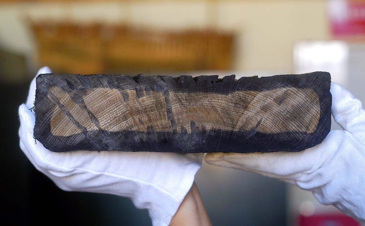 tree-rings-help-explain-secrets-of-dutch-seafaring-dominance-in-the-17th-century tree-rings-help-explain-secrets-of-dutch-seafaring-dominance-in-the-17th-century
